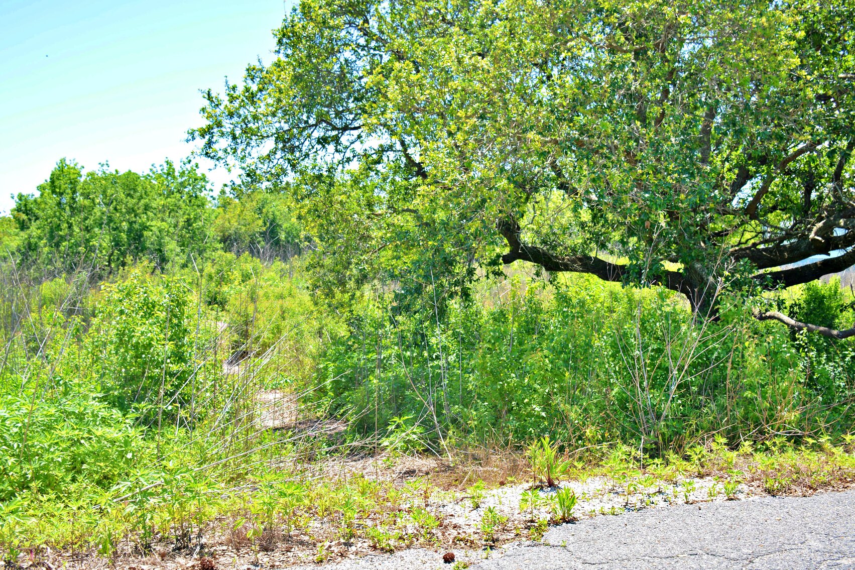 127 Battistella Road, Empire/Buras, LA 70041