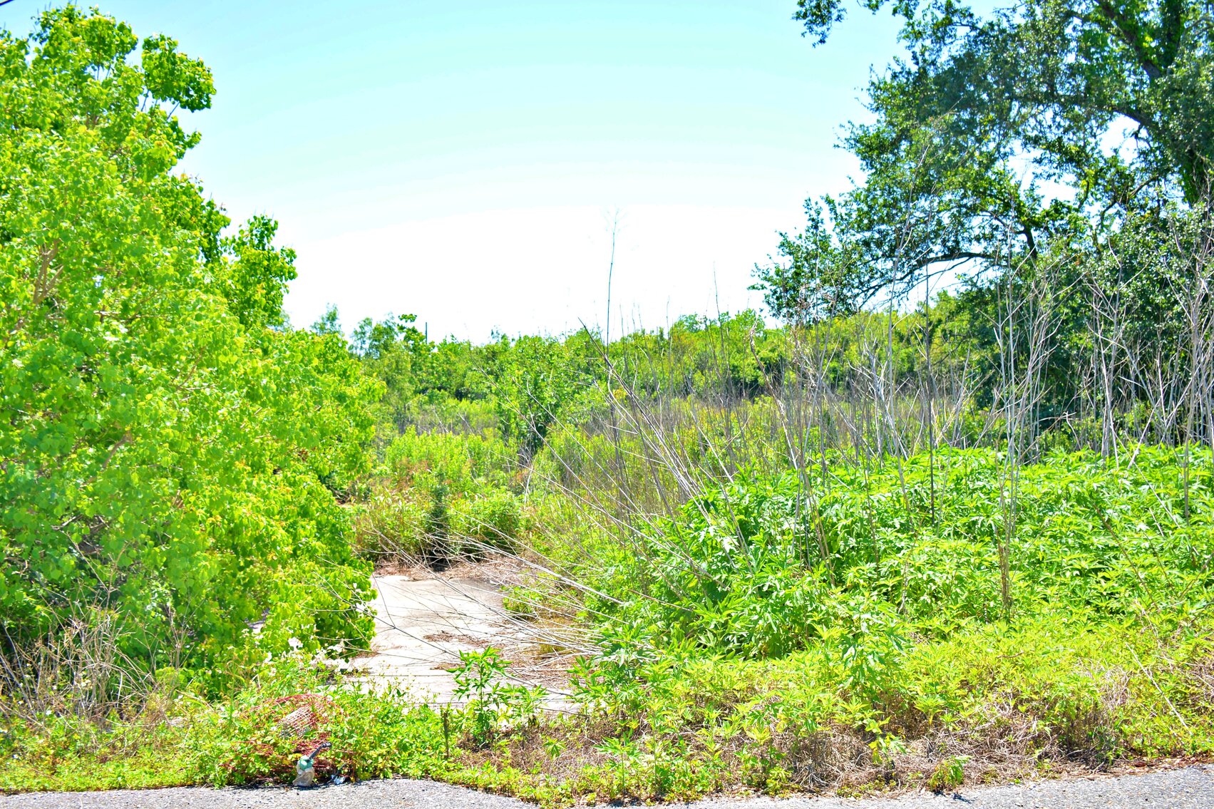 115 Battistella Road, Empire/Buras, LA 70041