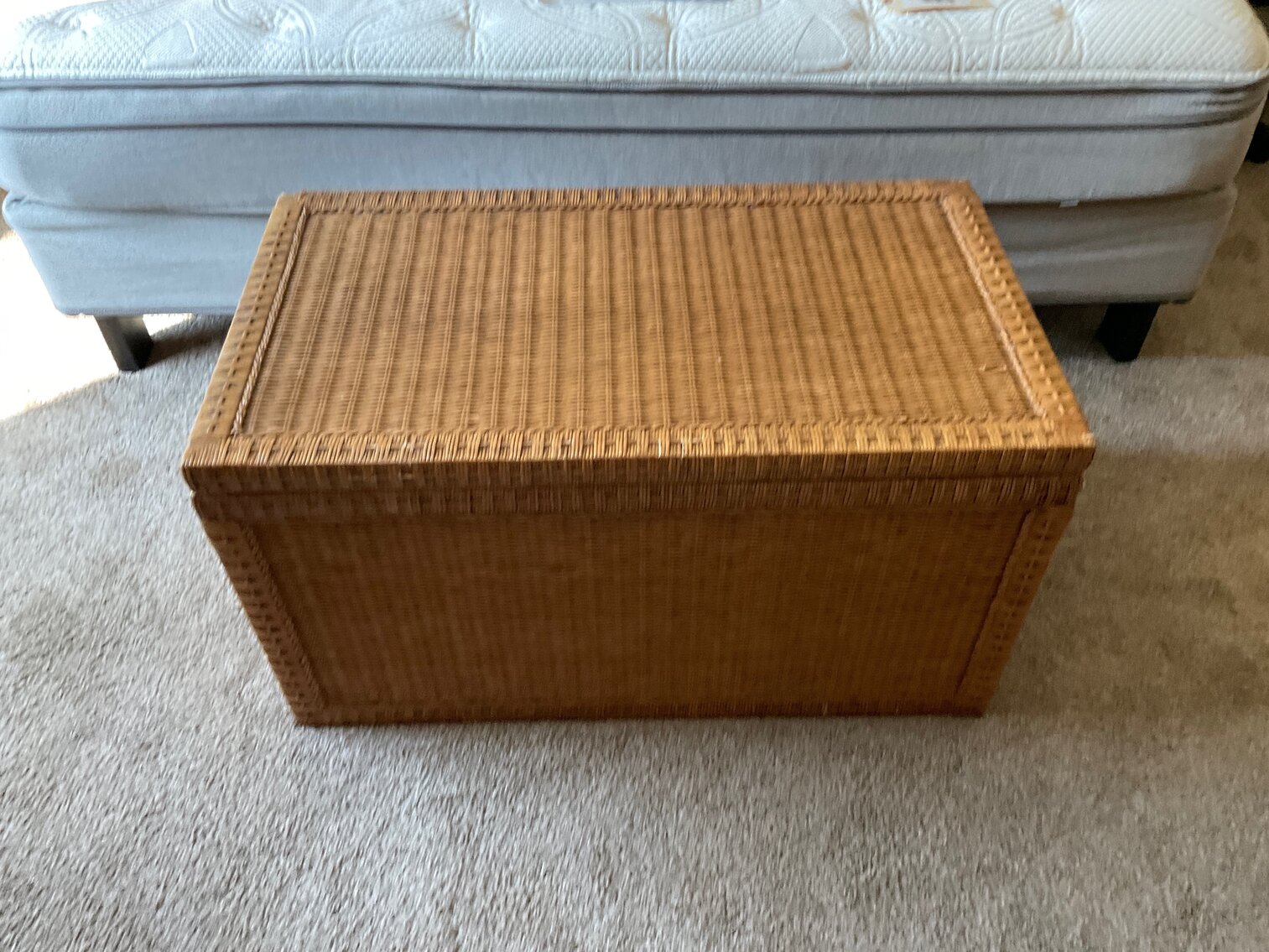 Wicker trunk