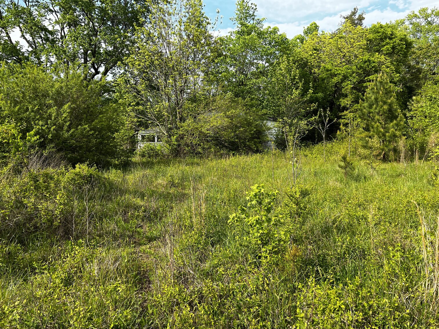 Image for Lot - 8 - 196 Chester Jackson Lane (Manquin)