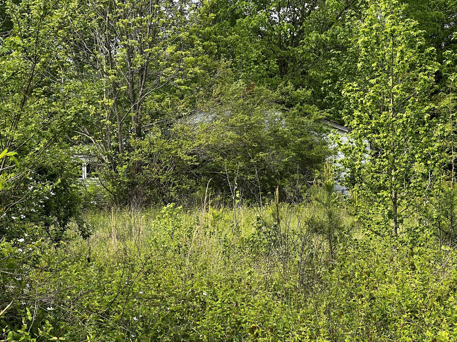 Image for Lot - 8 - 196 Chester Jackson Lane (Manquin)