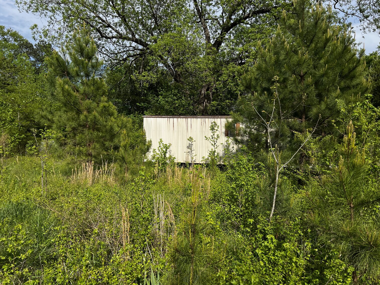 Image for Lot - 8 - 196 Chester Jackson Lane (Manquin)