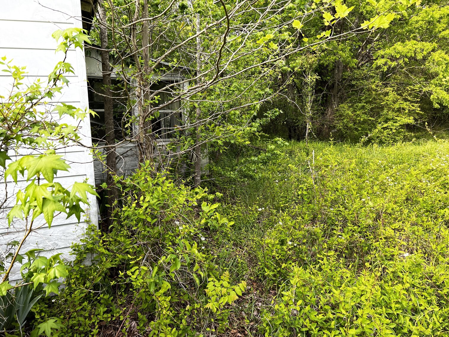 Image for Lot - 8 - 196 Chester Jackson Lane (Manquin)