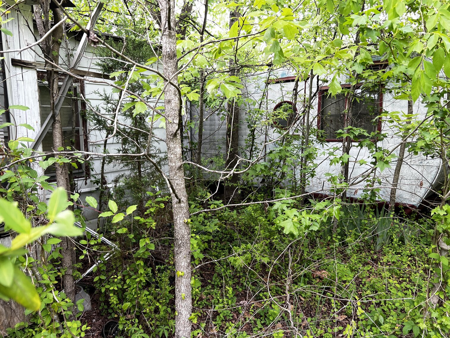 Image for Lot - 8 - 196 Chester Jackson Lane (Manquin)