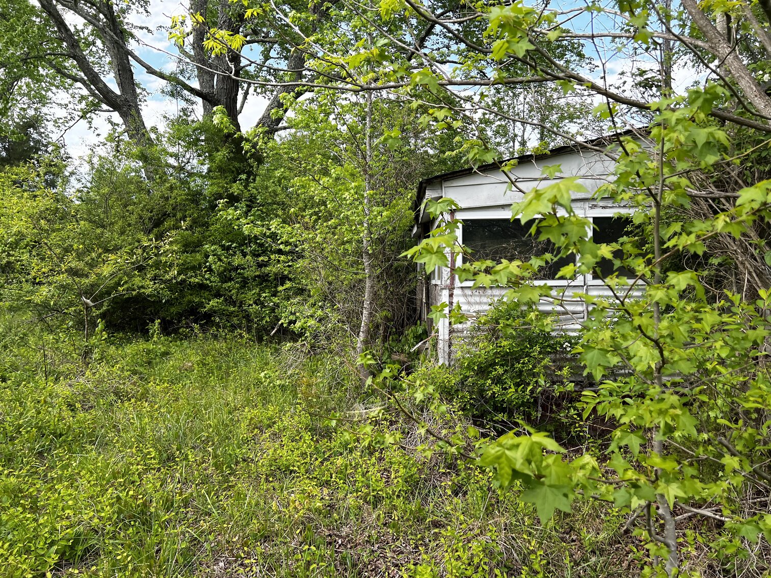 Image for Lot - 8 - 196 Chester Jackson Lane (Manquin)