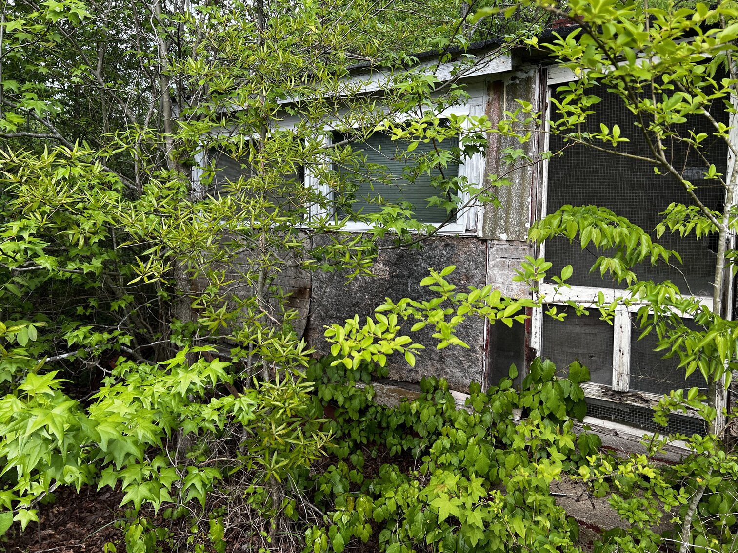 Image for Lot - 8 - 196 Chester Jackson Lane (Manquin)