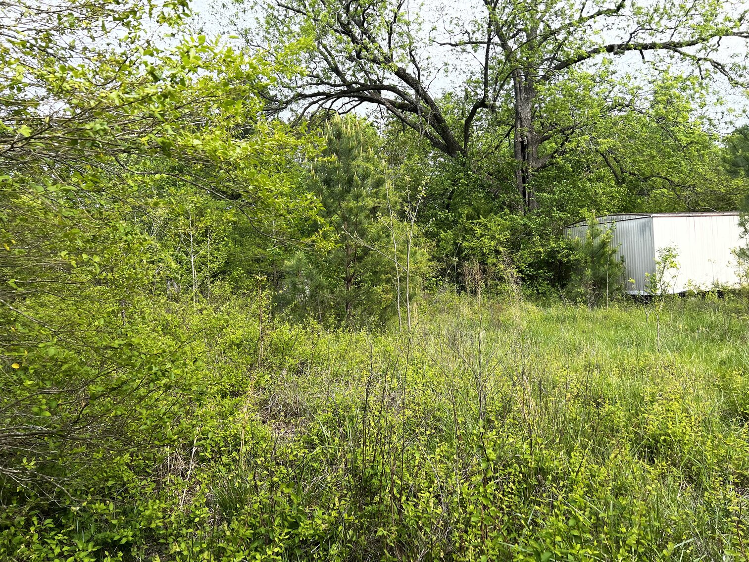 Image for Lot - 8 - 196 Chester Jackson Lane (Manquin)