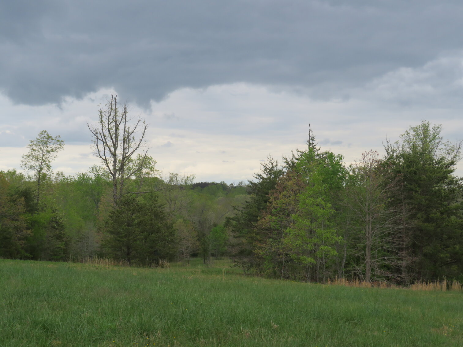 Image for 1286 Mitchell Mill Rd, Gladys, VA 24554