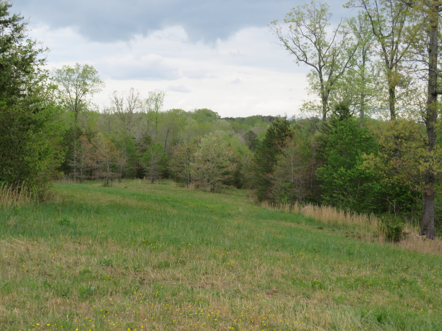 Image for 1286 Mitchell Mill Rd, Gladys, VA 24554