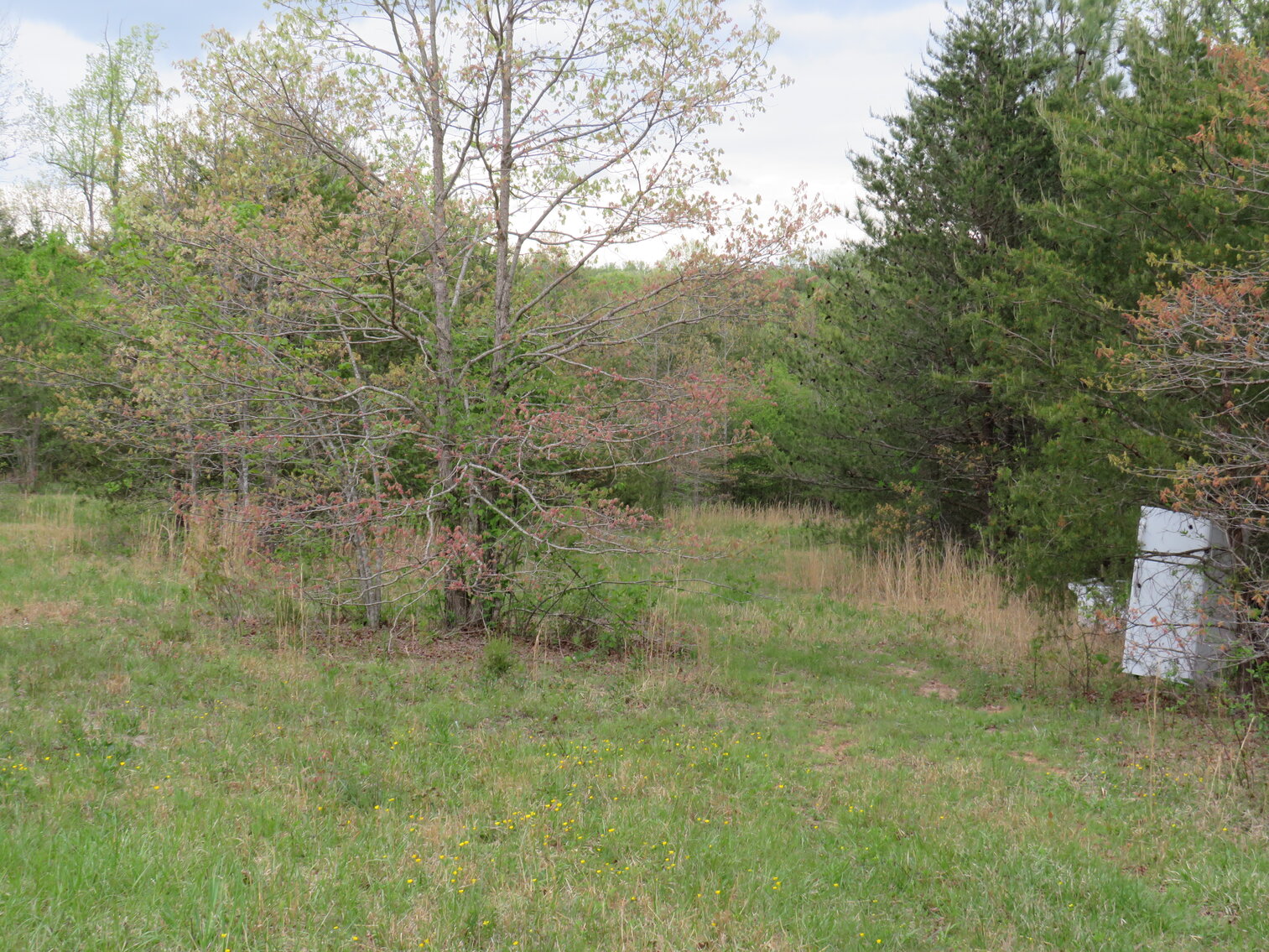 Image for 1286 Mitchell Mill Rd, Gladys, VA 24554