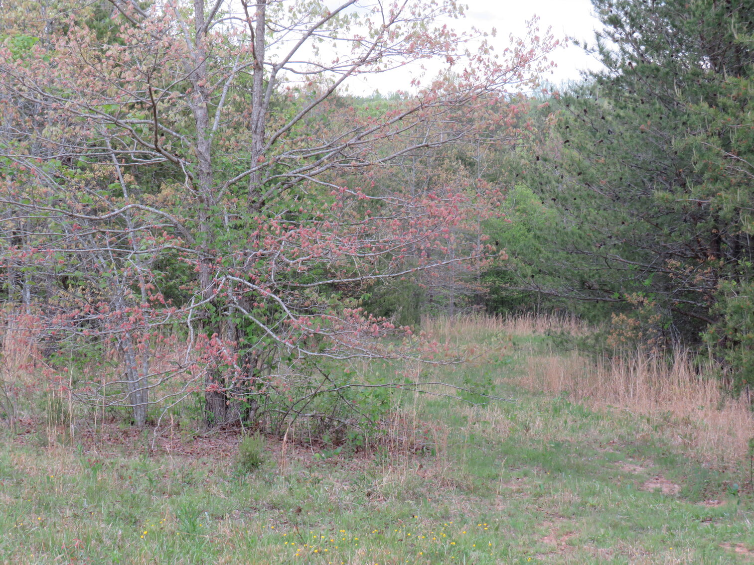 Image for 1286 Mitchell Mill Rd, Gladys, VA 24554