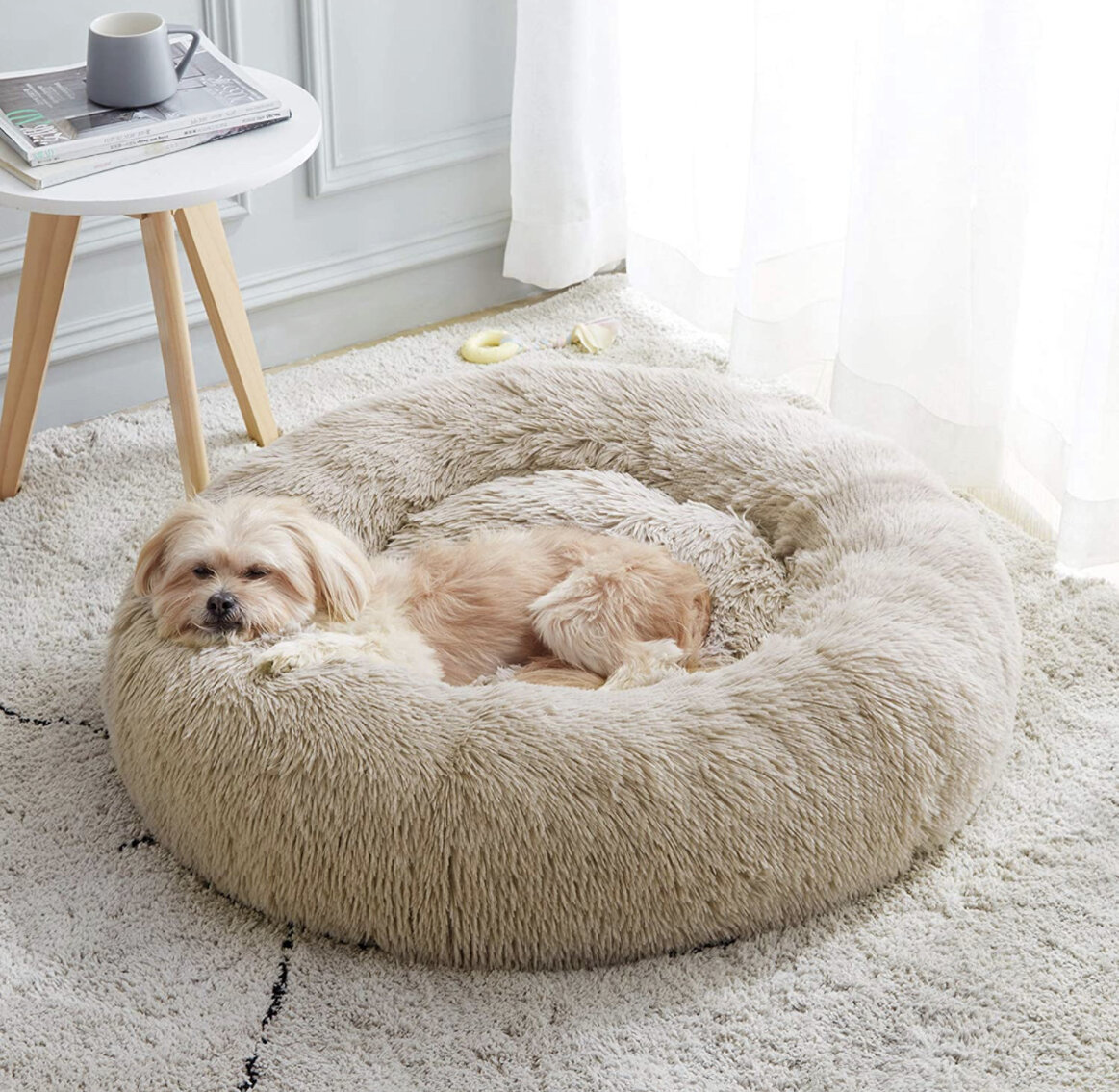 Dog Bed Round 
