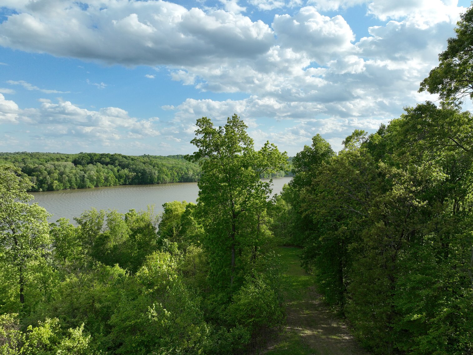 Image for 146.2+/- Acre Lake Barkley Waterfront Farm