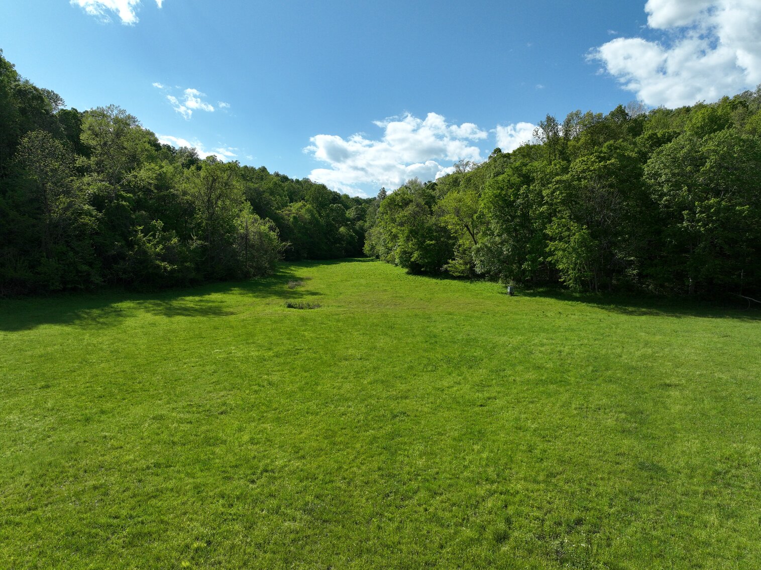 Image for 146.2+/- Acre Lake Barkley Waterfront Farm