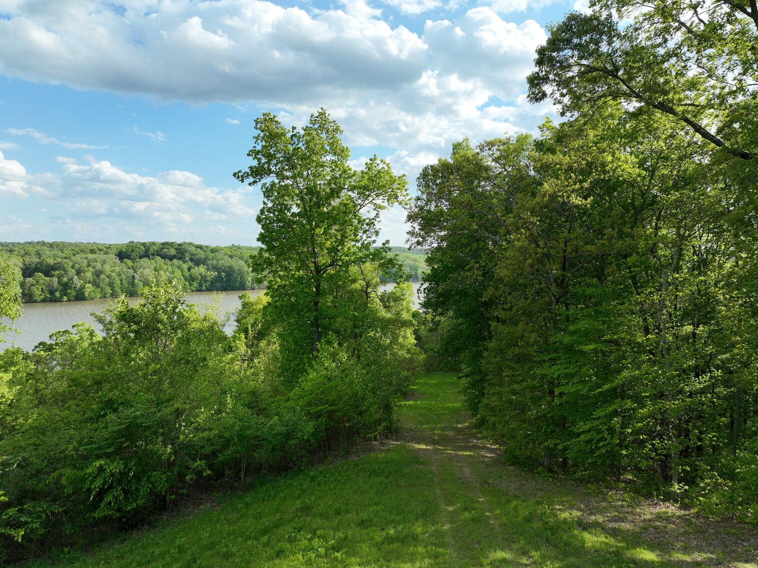 Image for 146.2+/- Acre Lake Barkley Waterfront Farm