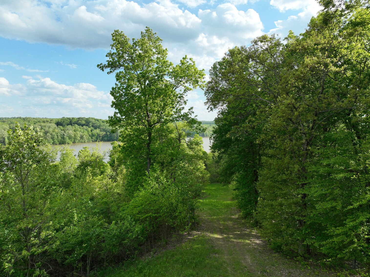 Image for 146.2+/- Acre Lake Barkley Waterfront Farm