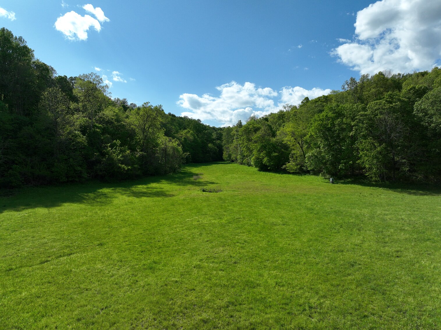 Image for 146.2+/- Acre Lake Barkley Waterfront Farm