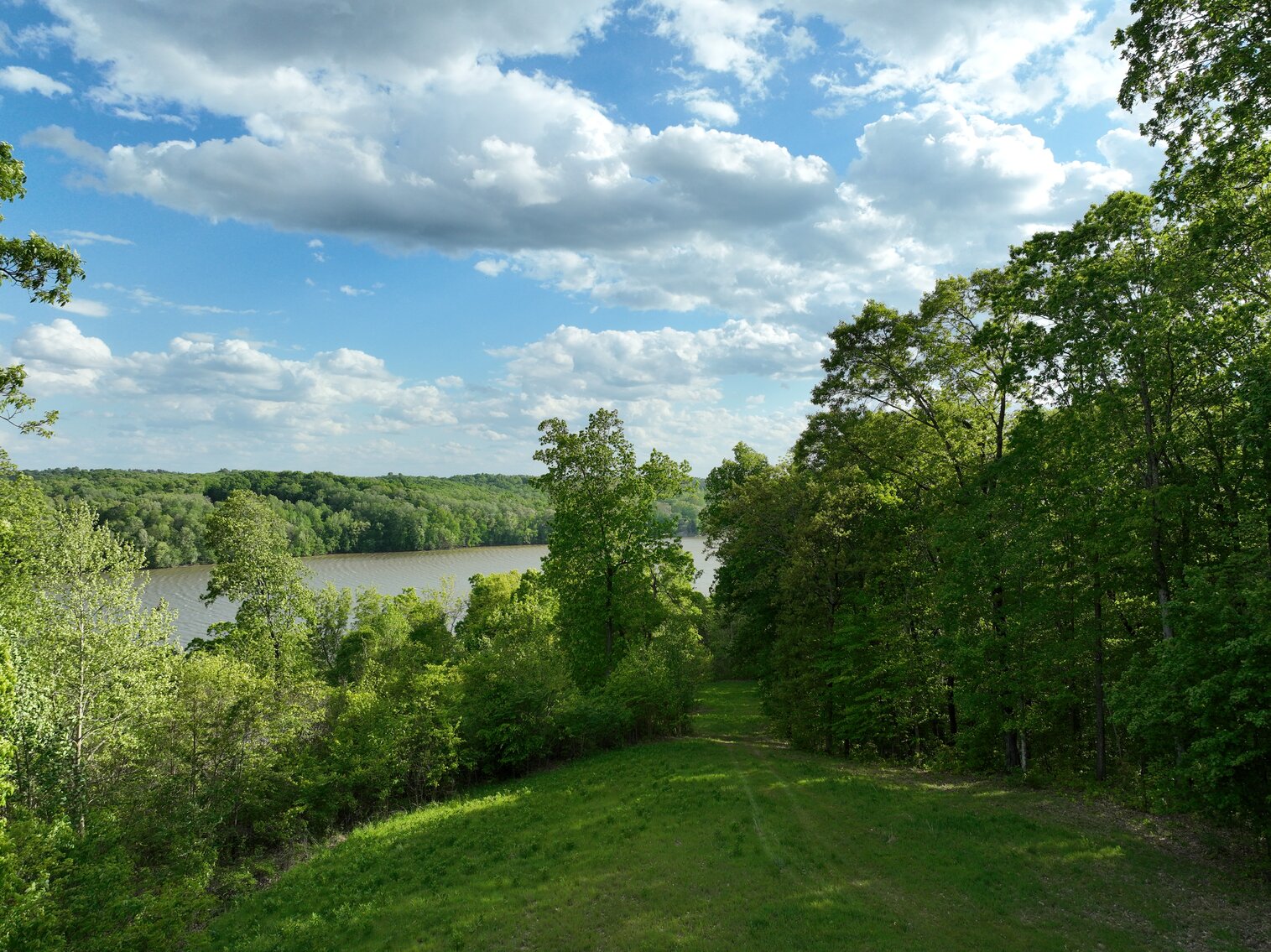 Image for 146.2+/- Acre Lake Barkley Waterfront Farm