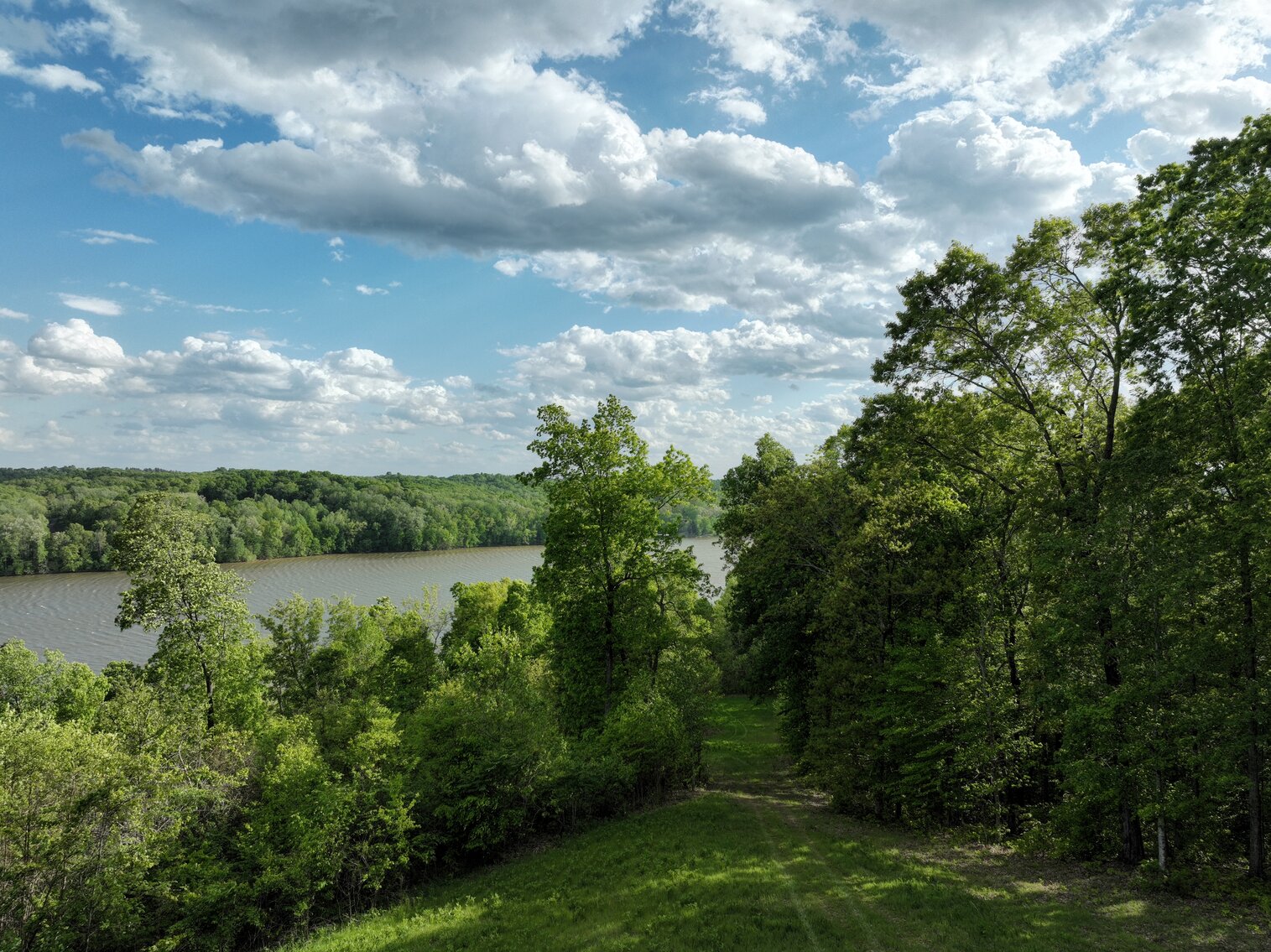 Image for 146.2+/- Acre Lake Barkley Waterfront Farm
