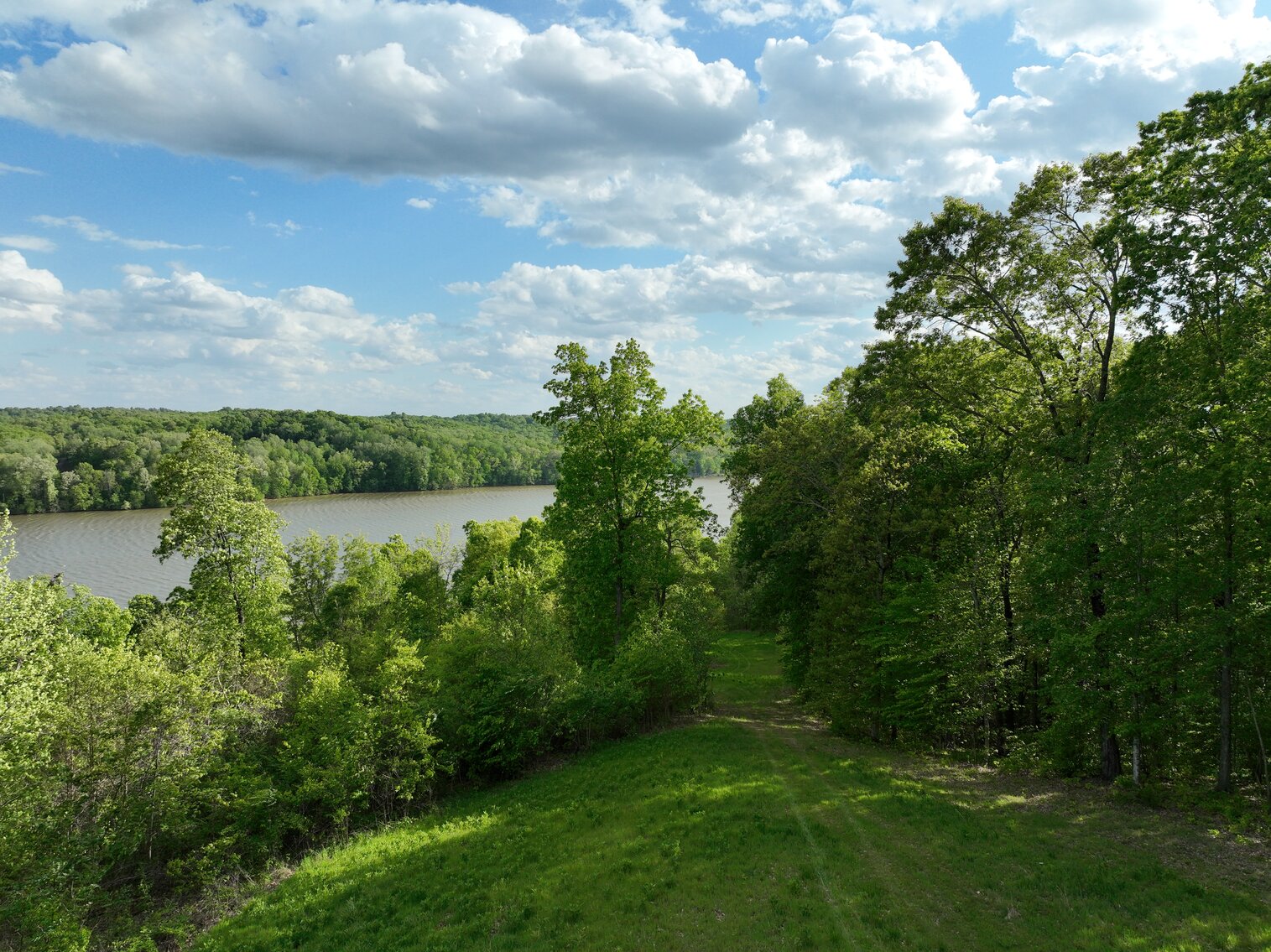 Image for 146.2+/- Acre Lake Barkley Waterfront Farm
