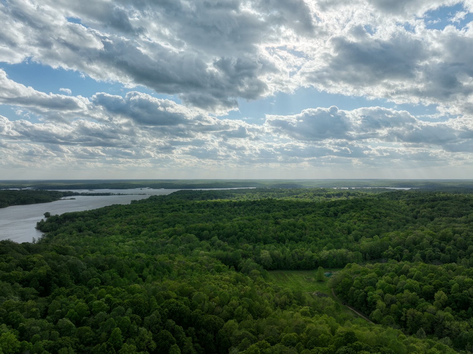 Image for 146.2+/- Acre Lake Barkley Waterfront Farm