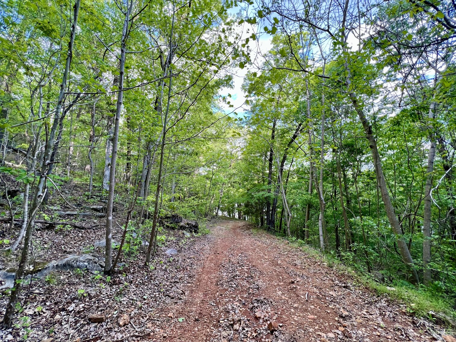 Image for 146.2+/- Acre Lake Barkley Waterfront Farm