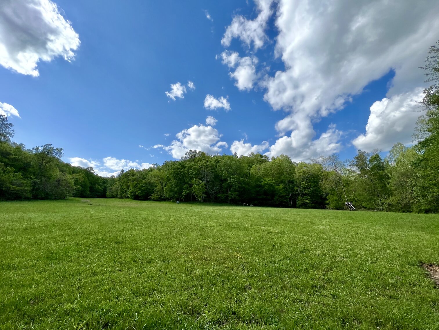 Image for 146.2+/- Acre Lake Barkley Waterfront Farm