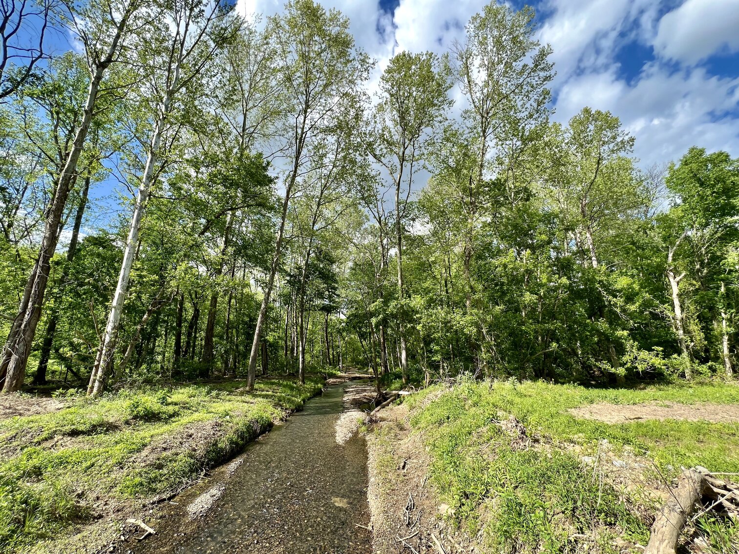 Image for 146.2+/- Acre Lake Barkley Waterfront Farm