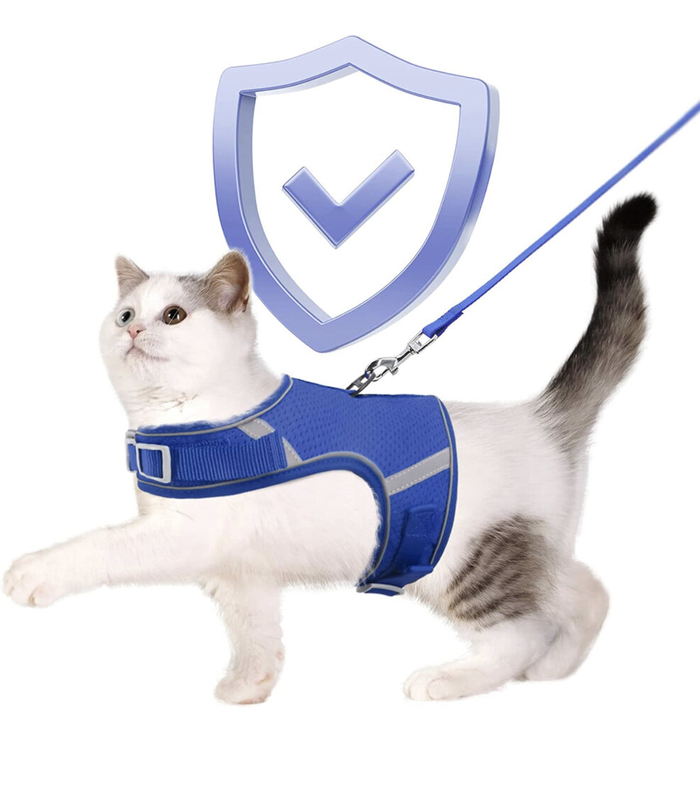 Set of 2 Size Medium Dog Harness