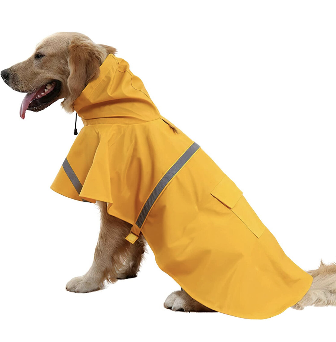 Set of 4 Size 2XL Dog Raincoats 