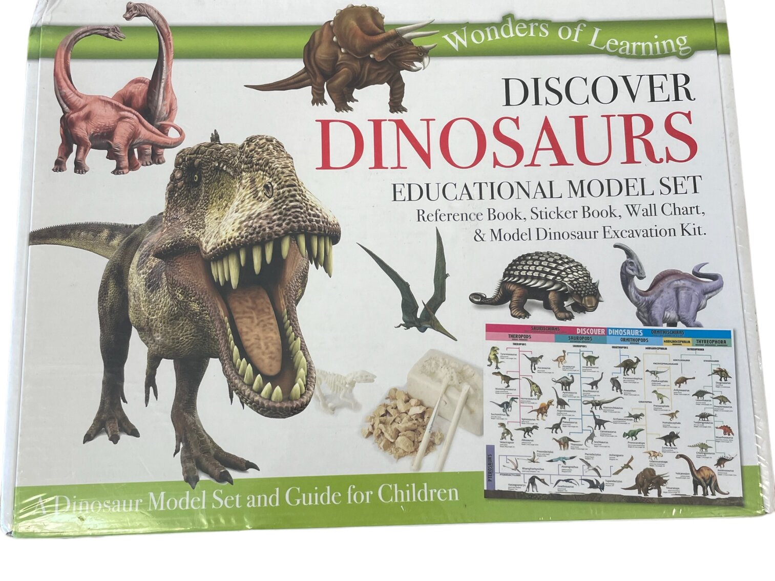 Discover Dinosaurs Educational Model Set