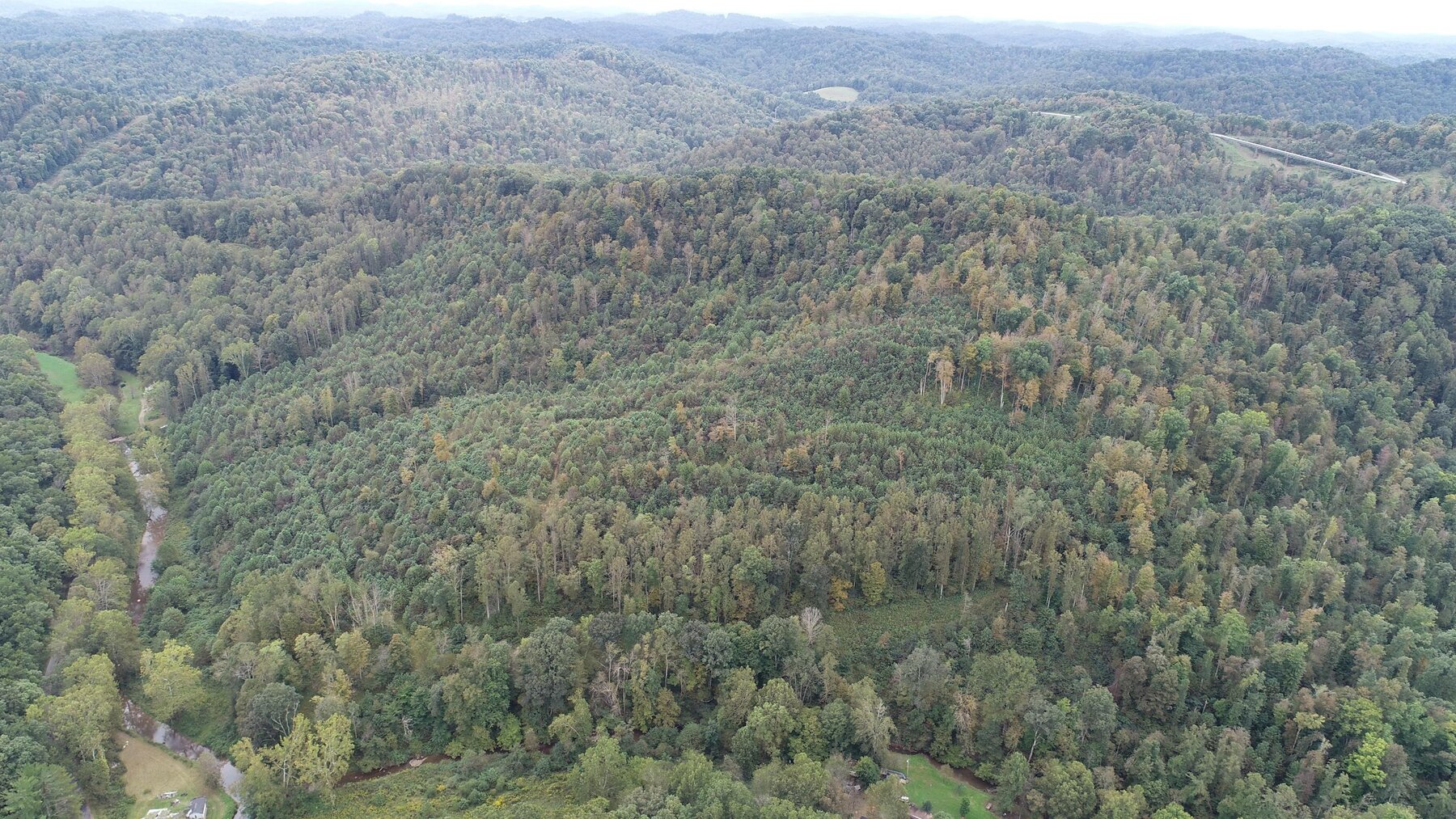 Image for SOLD $137,500 - 84 Acres Selling to the Highest Bidder