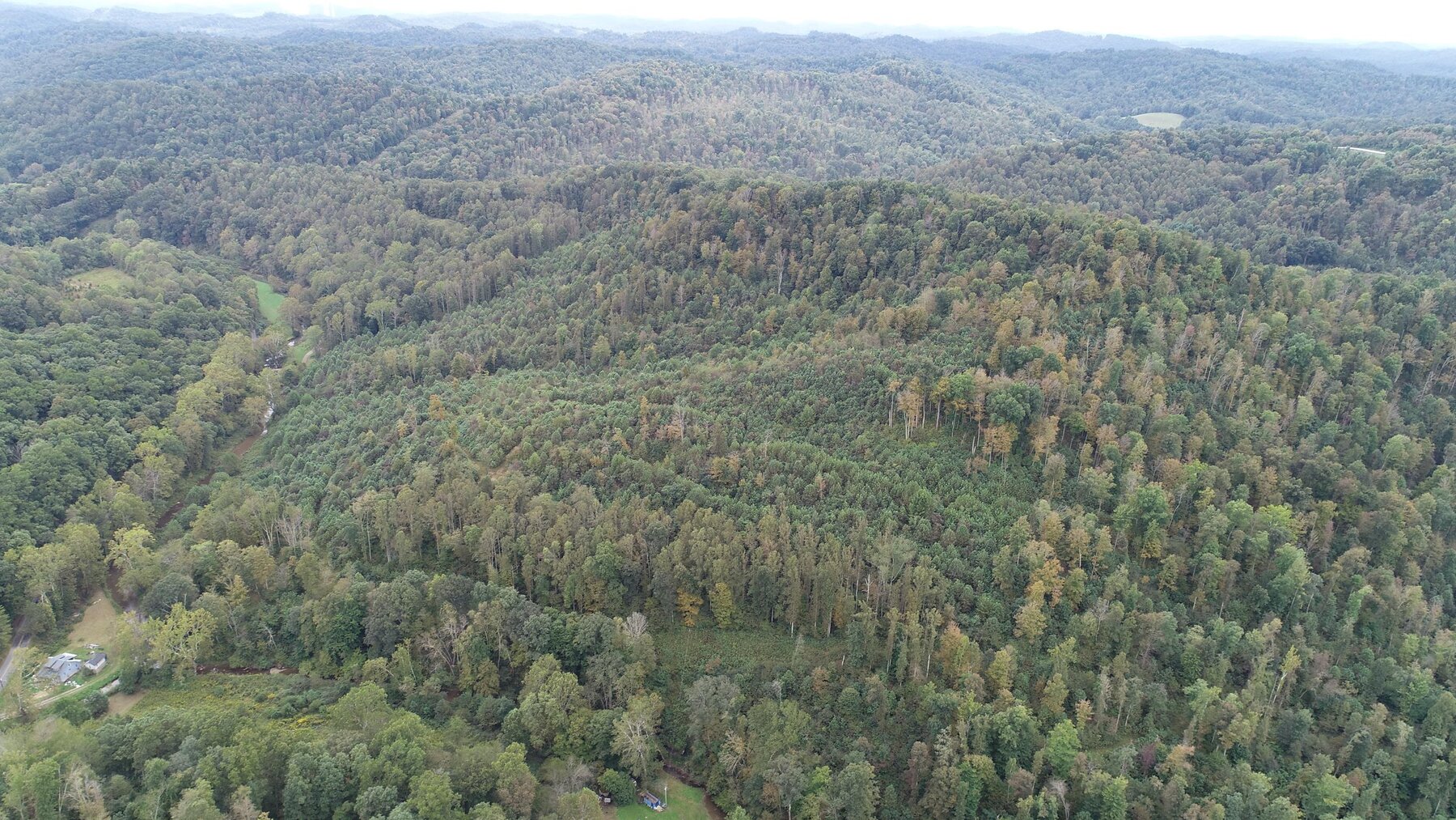 Image for SOLD $137,500 - 84 Acres Selling to the Highest Bidder