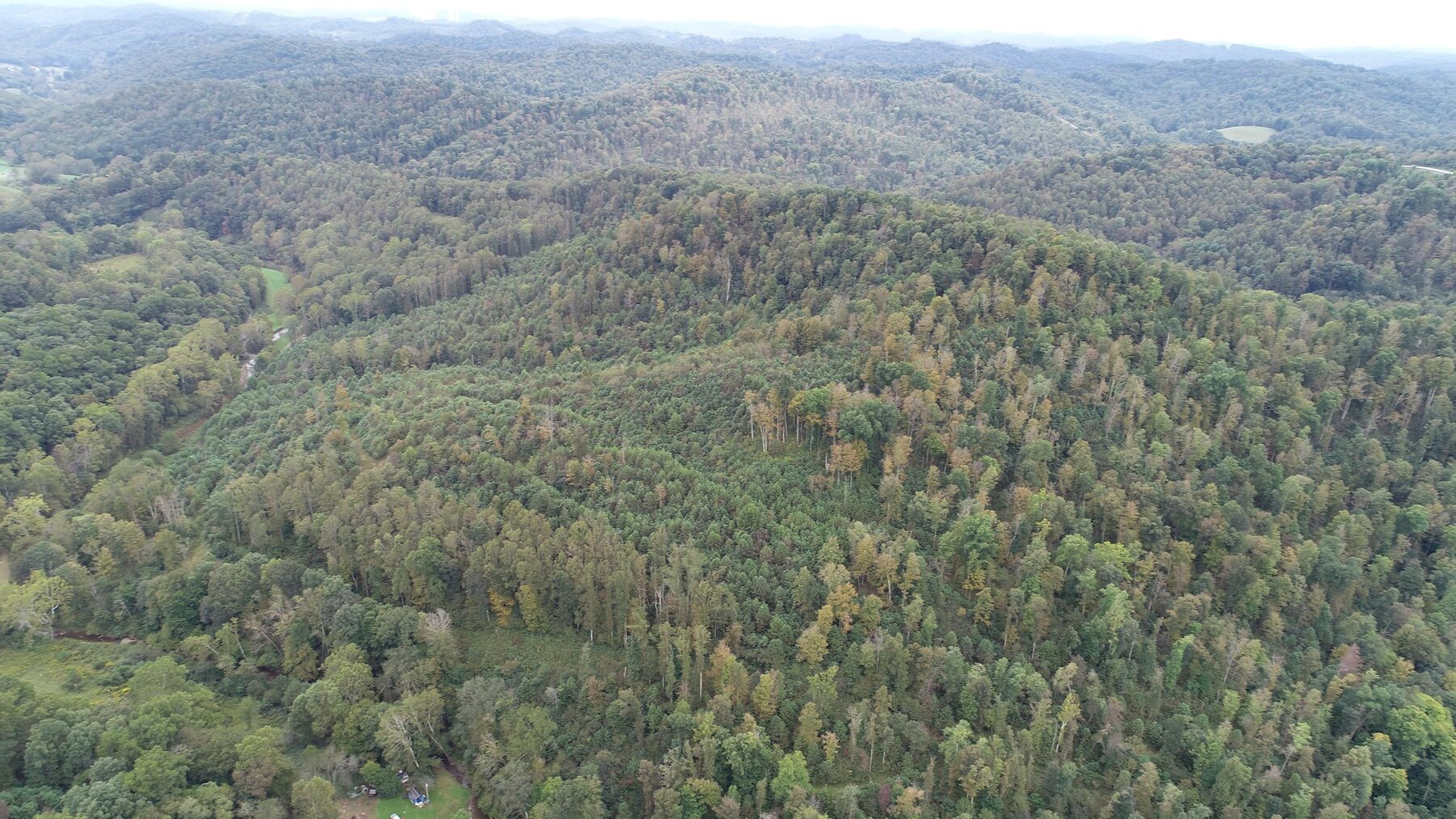 Image for SOLD $137,500 - 84 Acres Selling to the Highest Bidder