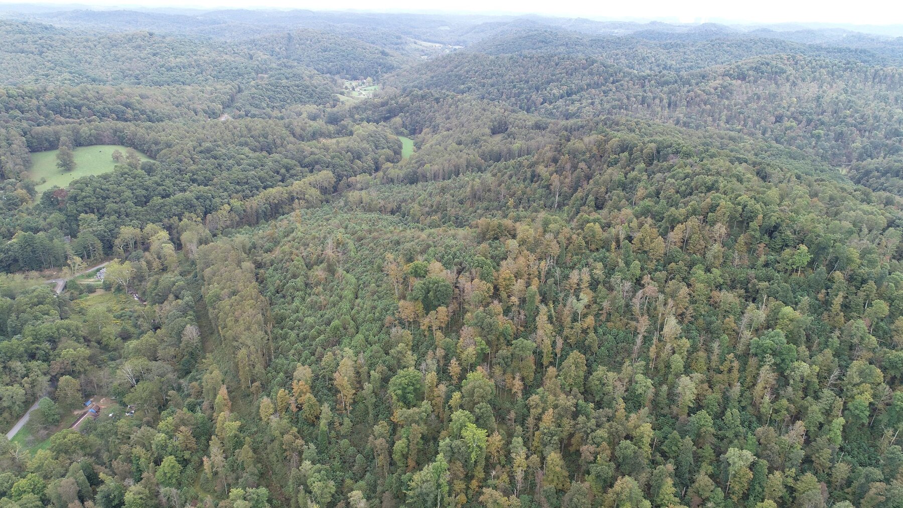 Image for SOLD $137,500 - 84 Acres Selling to the Highest Bidder