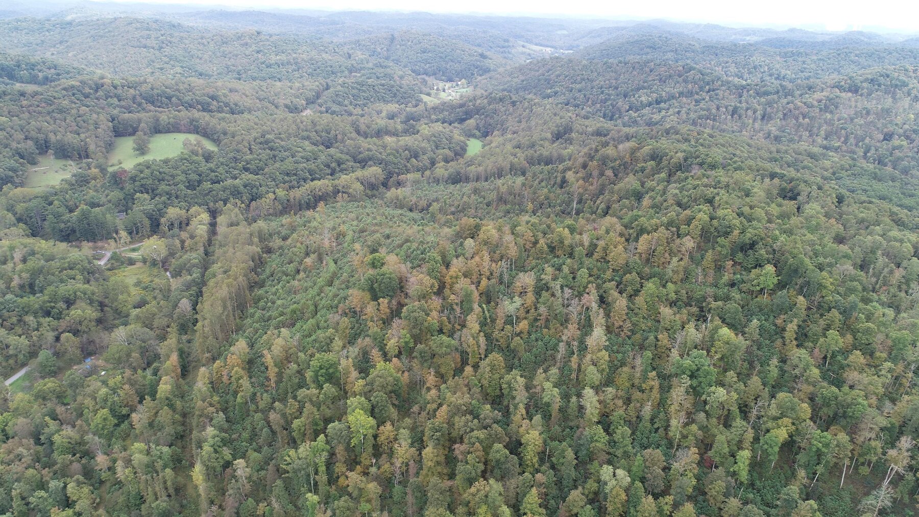 Image for SOLD $137,500 - 84 Acres Selling to the Highest Bidder