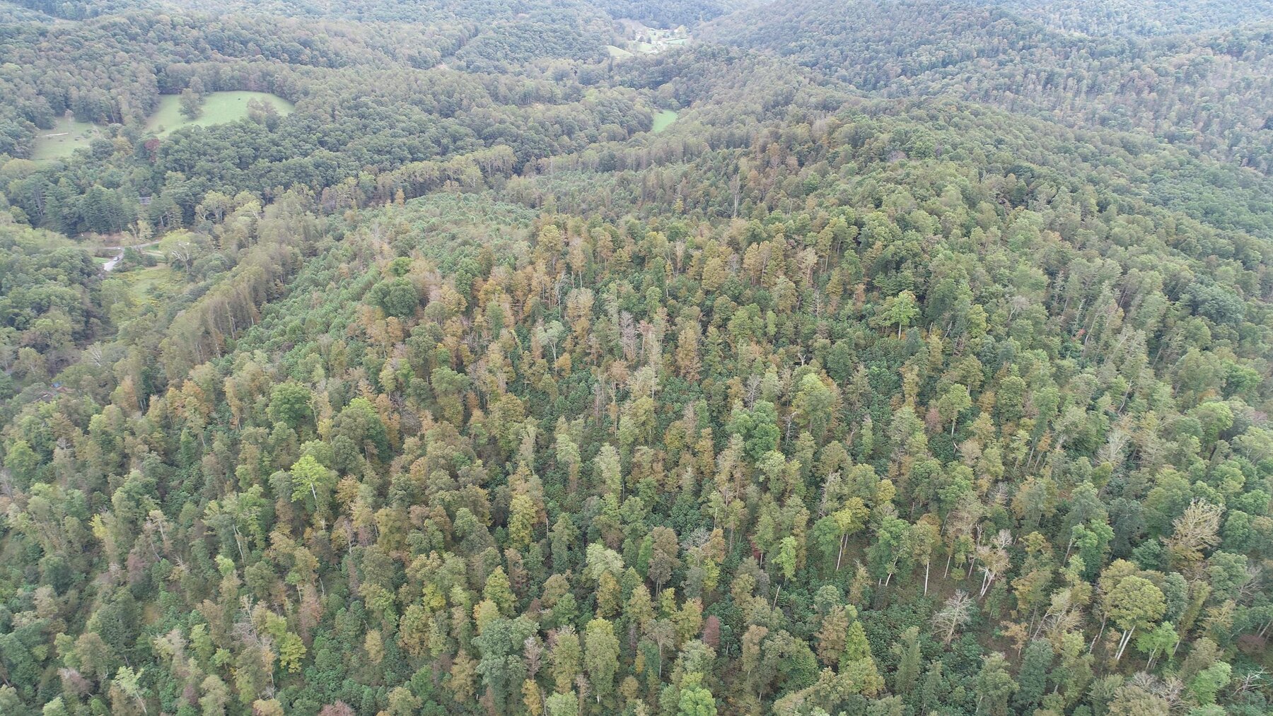 Image for SOLD $137,500 - 84 Acres Selling to the Highest Bidder