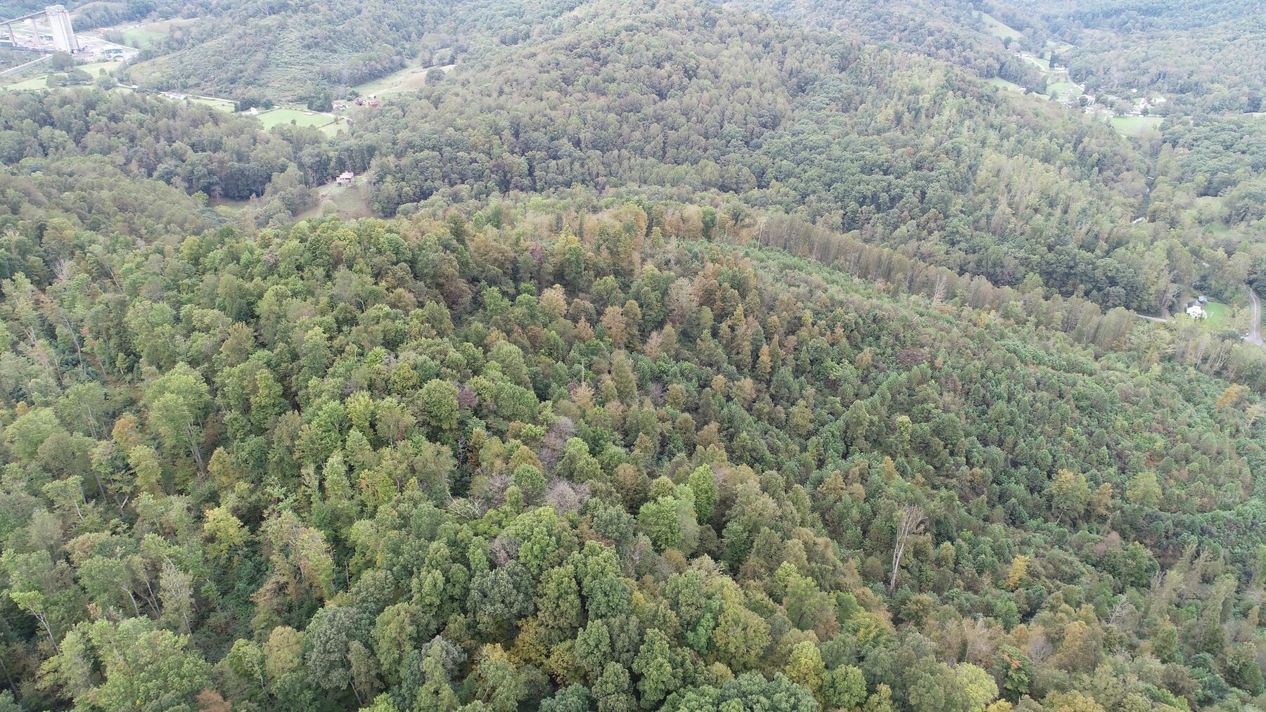 Image for SOLD $137,500 - 84 Acres Selling to the Highest Bidder