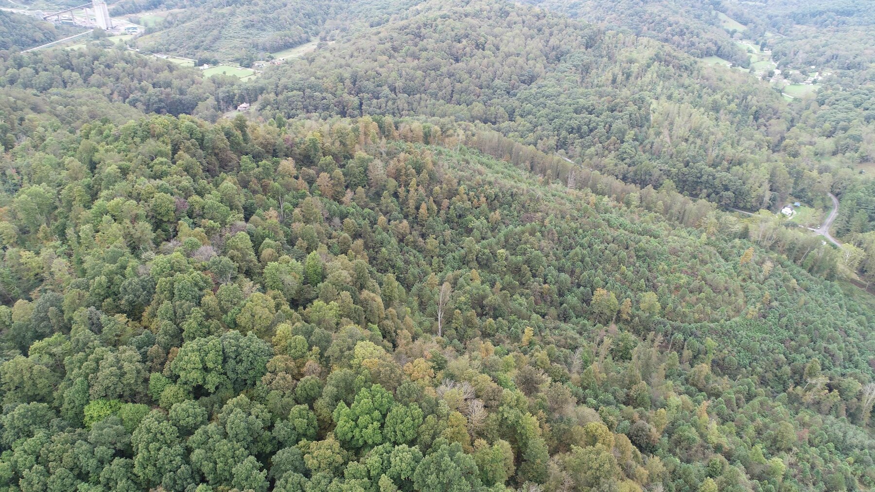 Image for SOLD $137,500 - 84 Acres Selling to the Highest Bidder