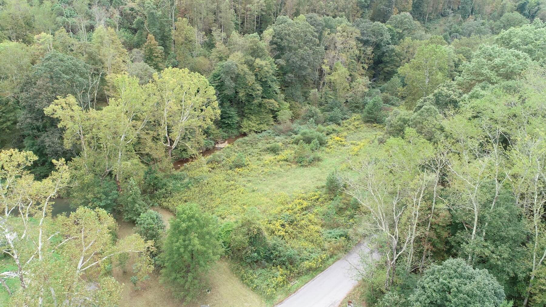 Image for SOLD $137,500 - 84 Acres Selling to the Highest Bidder