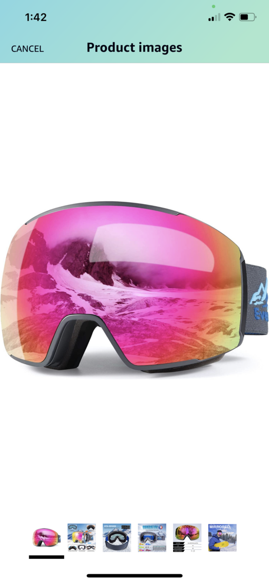 Pro Ski Goggles 