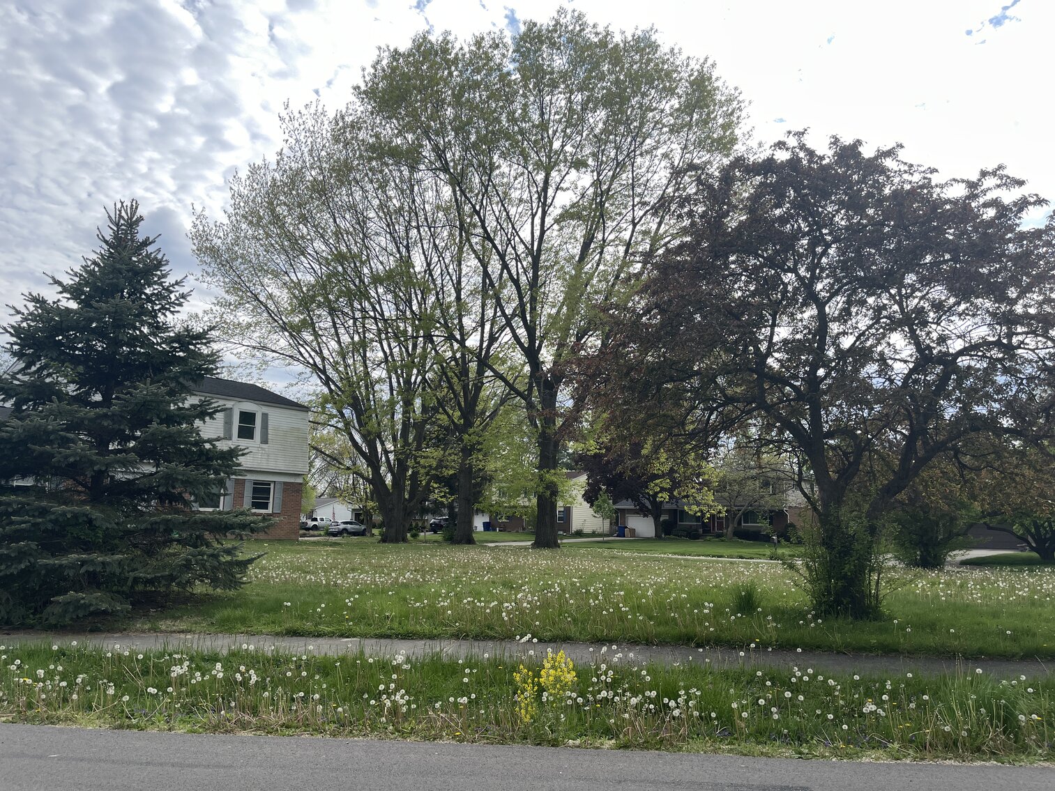 Image for 323 Hickory Lane Delaware 43015