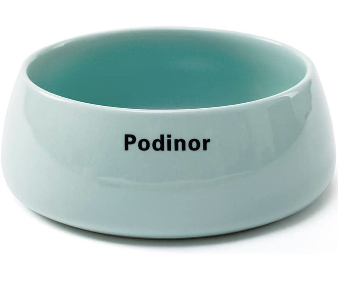 Set of 2 Aqua Ceramic Dog Bowls 