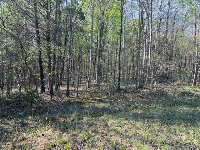 Image for 115 +/- AC・Eight Mile Lane・Greenville