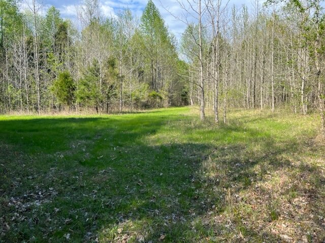 Image for 115 +/- AC・Eight Mile Lane・Greenville