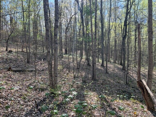 Image for 115 +/- AC・Eight Mile Lane・Greenville