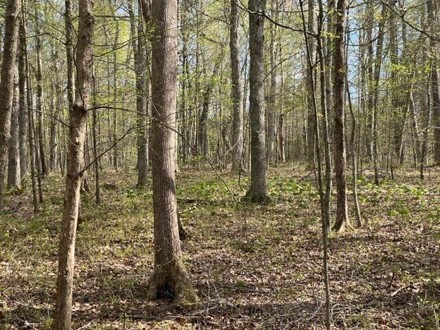 Image for 115 +/- AC・Eight Mile Lane・Greenville