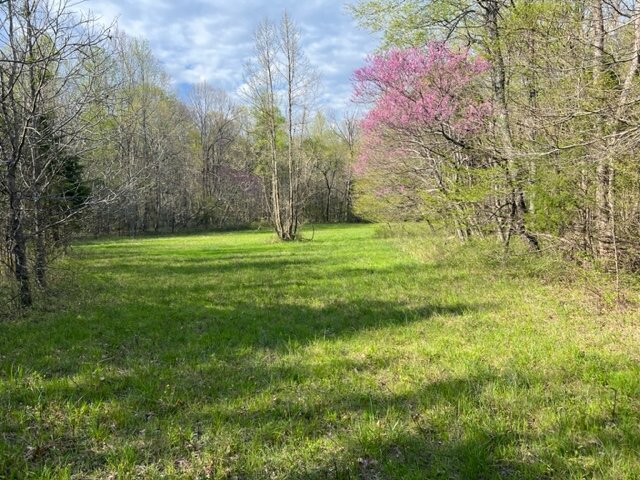 Image for 115 +/- AC・Eight Mile Lane・Greenville