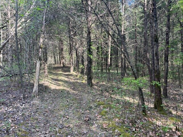 Image for 115 +/- AC・Eight Mile Lane・Greenville