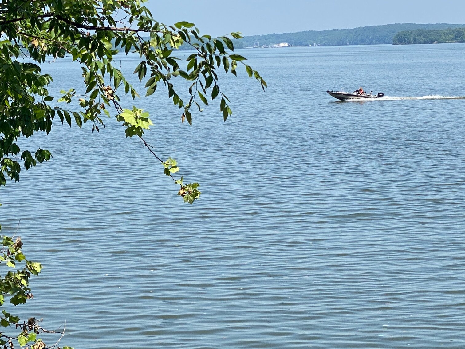 Image for ABSOLUTE ONLINE ONLY AUCTION • +/-1.55 ACRE WATERFRONT TRACT